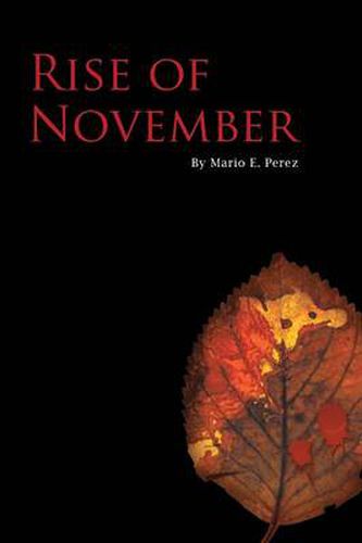 Cover image for Rise of November