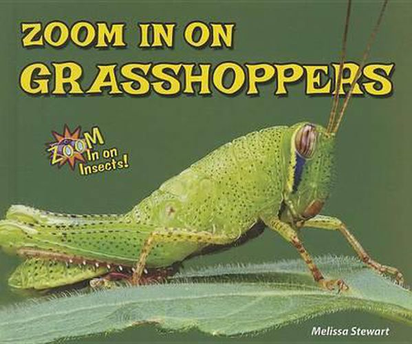 Cover image for Zoom in on Grasshoppers