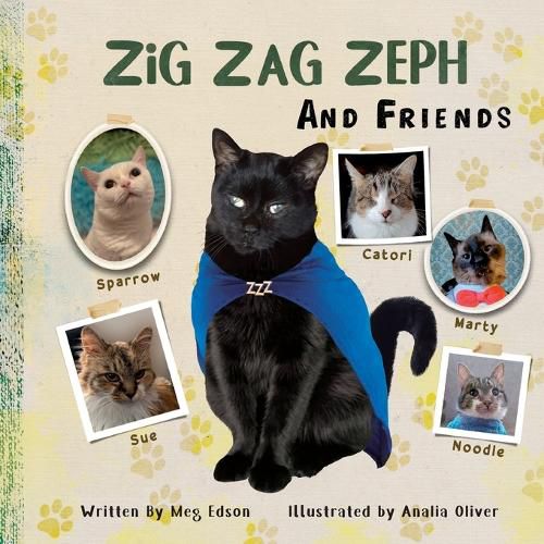 Cover image for Zig Zag Zeph and Friends