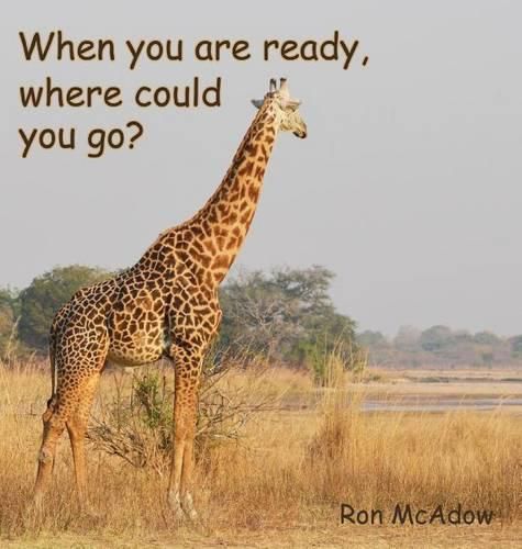 Cover image for When you are ready, where could you go?