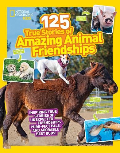 Cover image for 125 True Stories of Amazing Animal Friendships