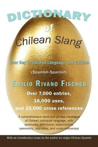 Cover image for Dictionary of Chilean Slang