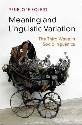 Cover image for Meaning and Linguistic Variation: The Third Wave in Sociolinguistics