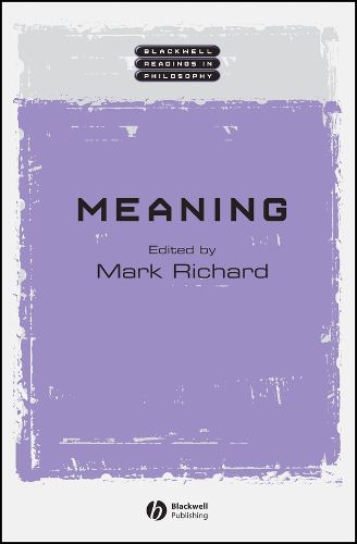 Cover image for Meaning