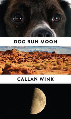 Cover image for Dog Run Moon: Stories