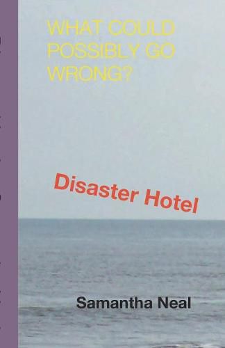 Cover image for Disaster Hotel