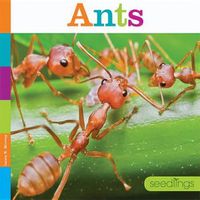 Cover image for Ants