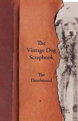 Cover image for The Vintage Dog Scrapbook - The Deerhound