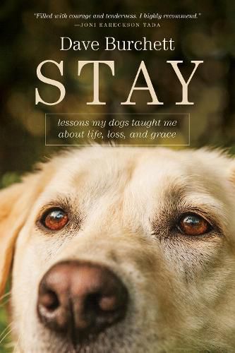 Cover image for Stay