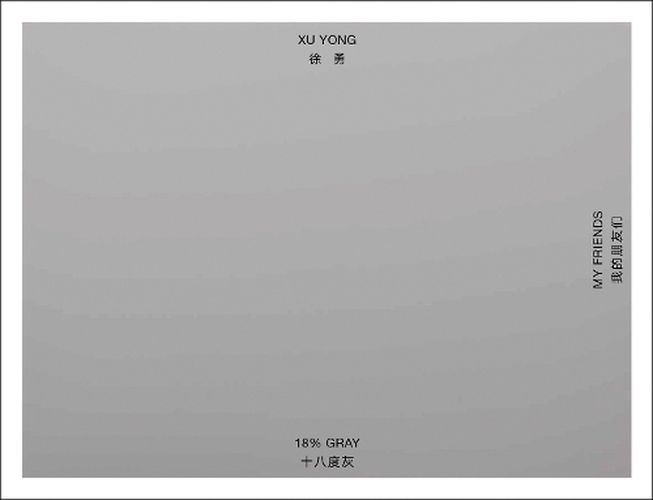 Cover image for Xu Yong