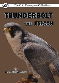 Cover image for Thunderbolt the Falcon