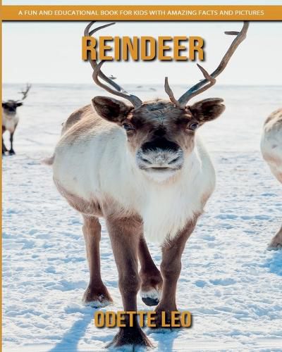 Reindeer