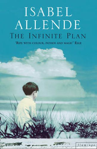Cover image for The Infinite Plan