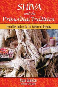 Cover image for Shiva and the Primordial Tradition: From the Tantras to the Science of Dreams