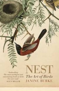 Cover image for Nest: The art of birds