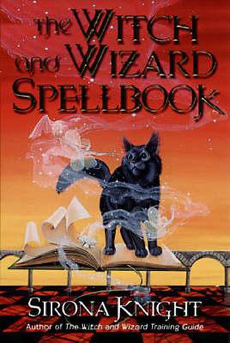 Cover image for The Witch And Wizard Spellbook