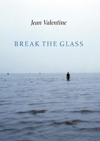 Cover image for Break the Glass