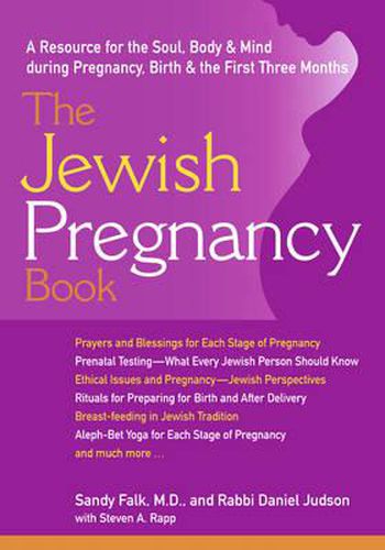 Cover image for Jewish Pregnancy Book: A Resource for the Soul Body & Mind During Pregnancy Birth & the First Three Months