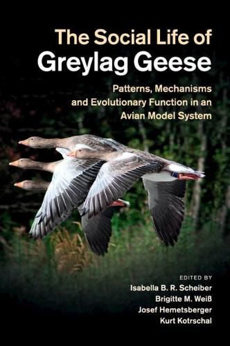 The Social Life of Greylag Geese: Patterns, Mechanisms and Evolutionary Function in an Avian Model System