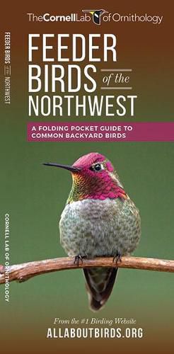 Cover image for Feeder Birds of the Northwest: A Folding Pocket Guide to Common Backyard Birds