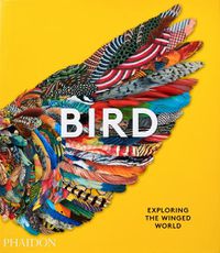 Cover image for Bird, Exploring the Winged World