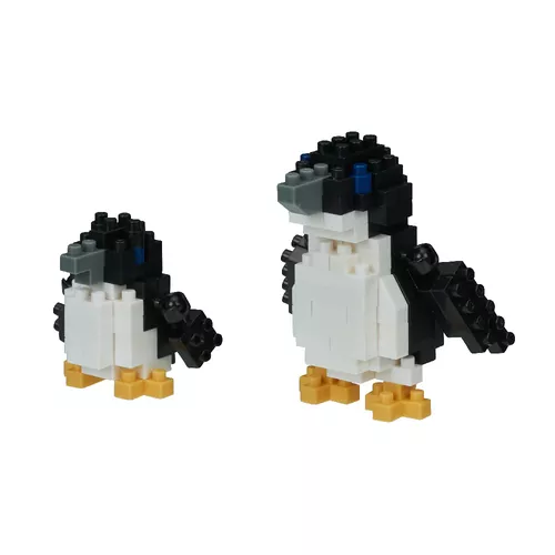 Cover image for Fairy Penguins