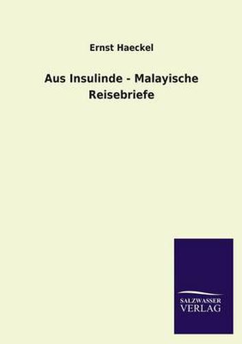 Cover image for Aus Insulinde - Malayische Reisebriefe
