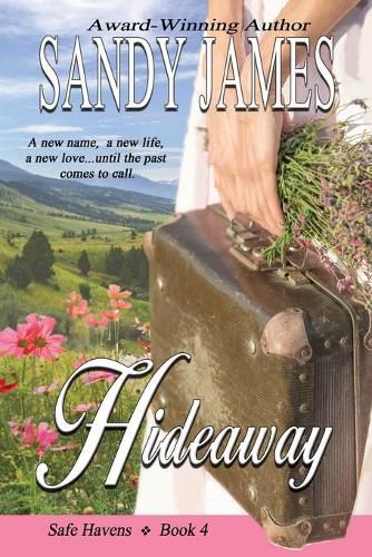 Cover image for Hideaway