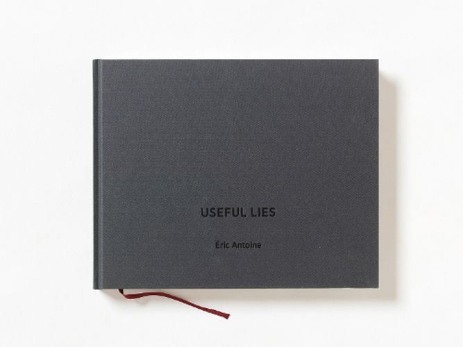 Cover image for Useful Lies