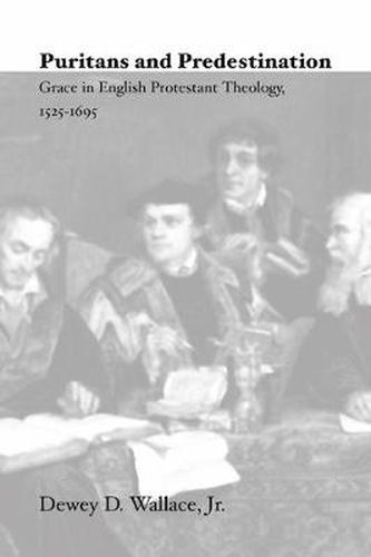 Cover image for Puritans and Predestination: Grace in English Protestant Theology, 1525-1695