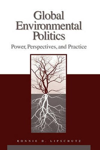 Cover image for Global Environmental Politics: Power, Perspectives, and Practice