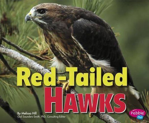 Cover image for Red-Tailed Hawks