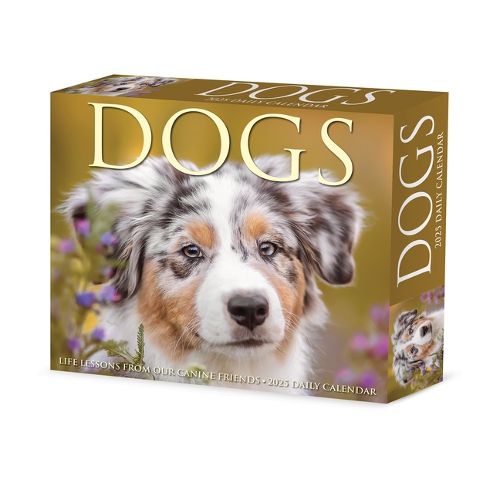Cover image for Dogs 2026 5.4 X 6.2 Box Calendar