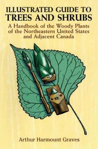 Cover image for Illustrated Guide to Trees and Shrubs: A Handbook of the Woody Plants of the Northeastern United States and Adjacent Canada/Revised Edition