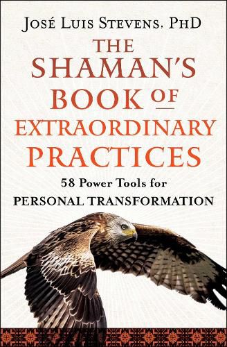 Cover image for The Shaman's Book of Extraordinary Practices