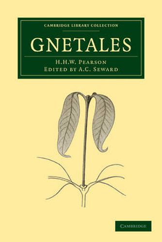 Cover image for Gnetales