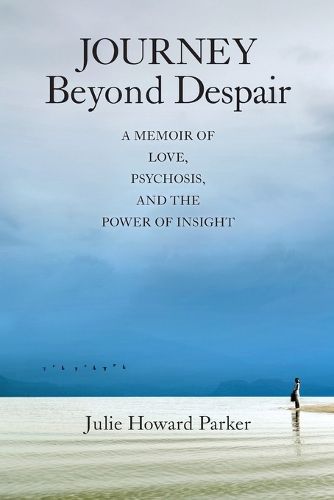 Cover image for Journey Beyond Despair