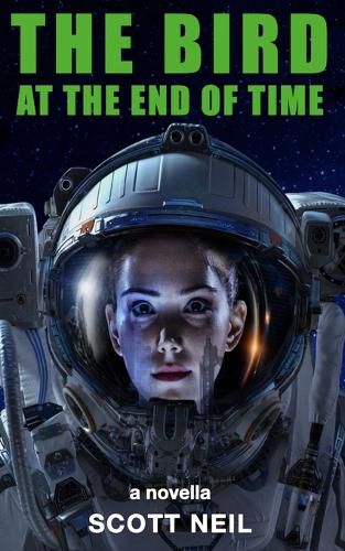 Cover image for The Bird at the End of Time