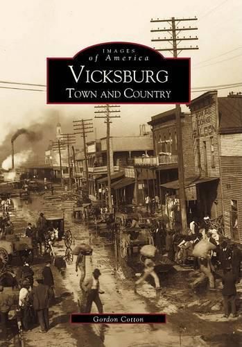 Cover image for Vicksburg: Town and Country