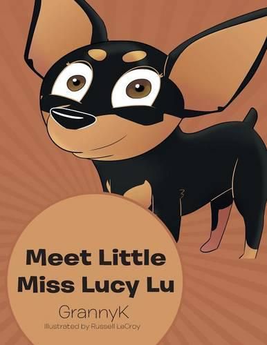 Cover image for Meet Little Miss Lucy Lu