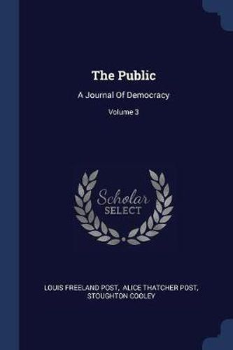 Cover image for The Public: A Journal of Democracy; Volume 3