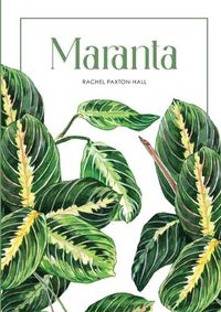 Cover image for Maranta