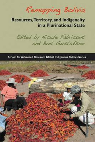 Cover image for Remapping Bolivia: Resources, Territory and Indigeneity in a Plurinational State