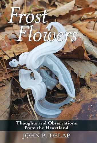 Cover image for Frost Flowers: Thoughts and Observations from the Heartland