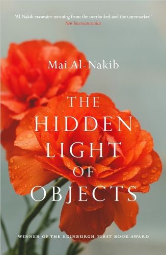 Cover image for The Hidden Light of Objects