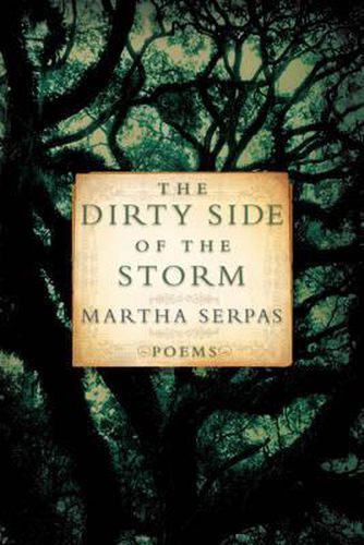 Cover image for The Dirty Side of the Storm: Poems