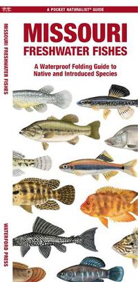 Cover image for Missouri Freshwater Fishes