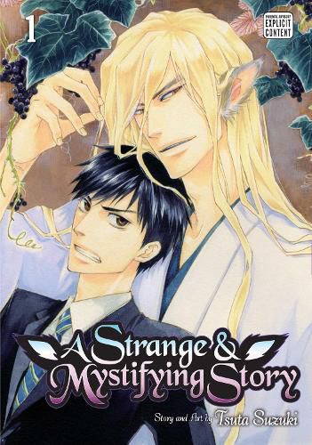 Cover image for A Strange & Mystifying Story, Vol. 1