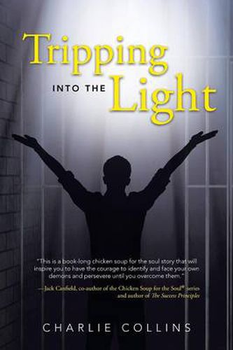 Cover image for Tripping Into the Light