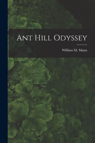 Ant Hill Odyssey